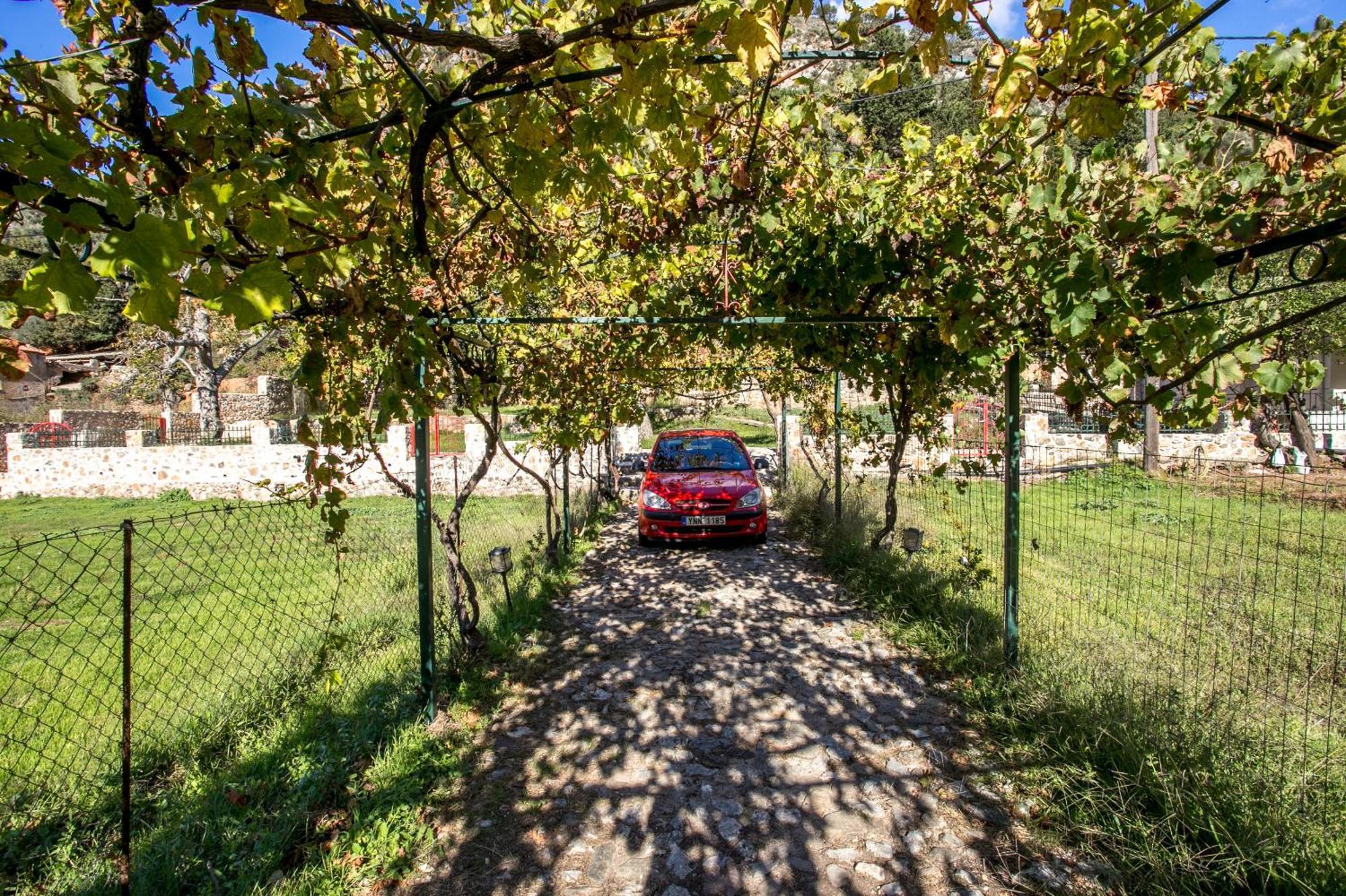 Ifigenia Lux Maisonette In Oldtown And Villas In Theriso Vilage 14 Km Outside Of Chania 하니아 외부 사진